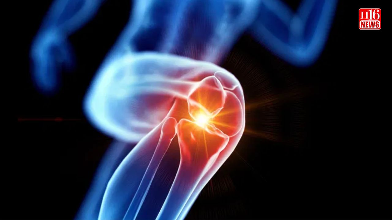 Doctors talk about its prospects in bone health, treating joint pain